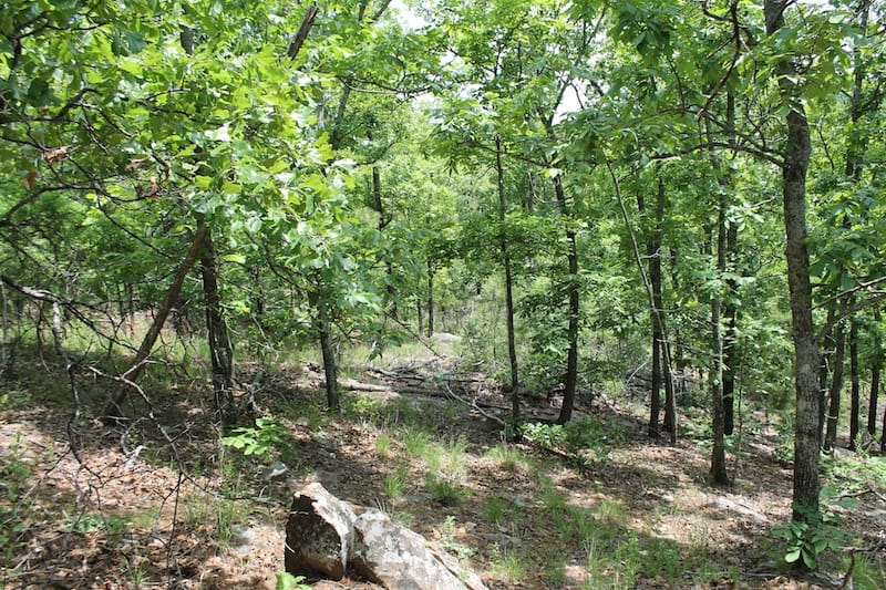 Indian Ridge – Phase II Tract 56 photo 9