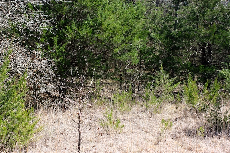 Montgomery Ranch Tract 5 photo 5