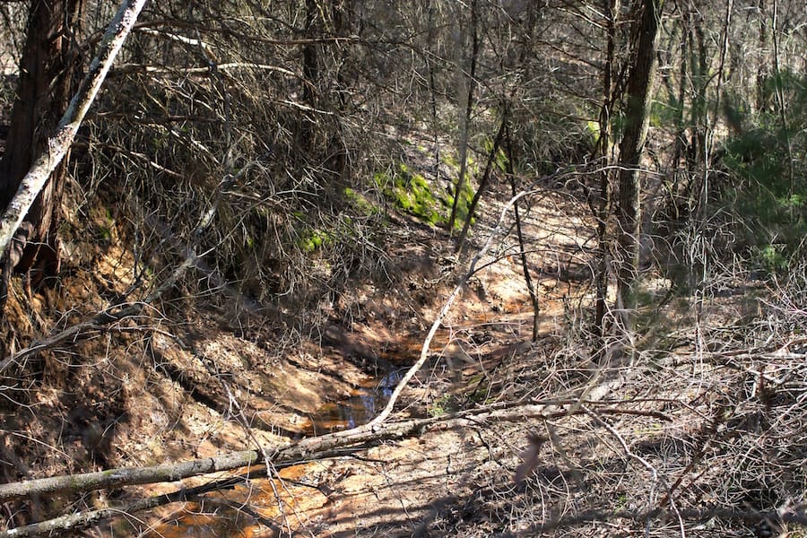 Montgomery Ranch Tract 5 photo 13