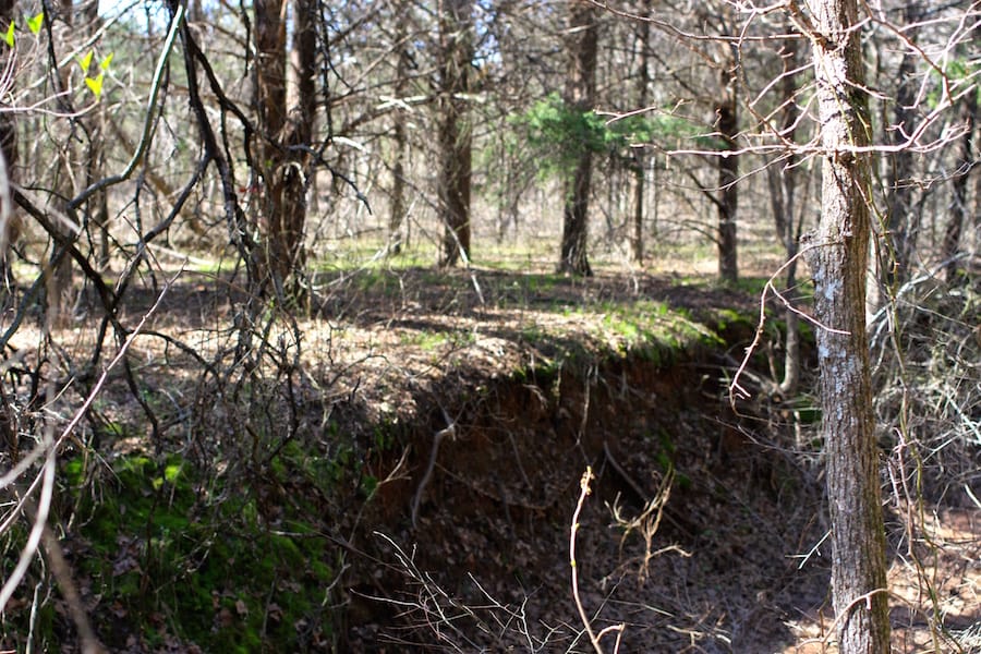 Montgomery Ranch Tract 5 photo 15
