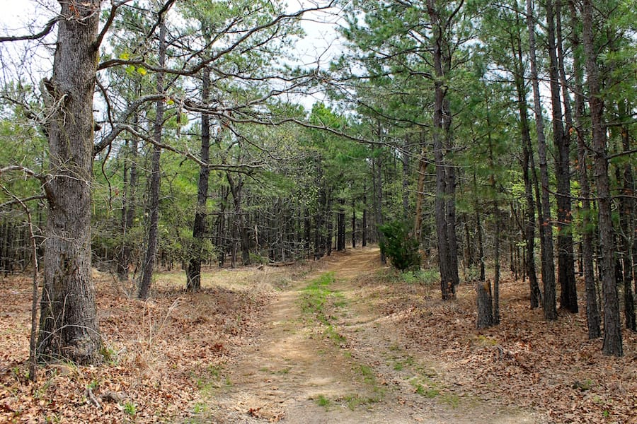 Trophy Ridge Phase III Tract 44 photo 1