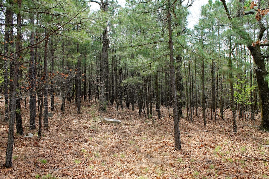 Trophy Ridge Phase III Tract 44 photo 2