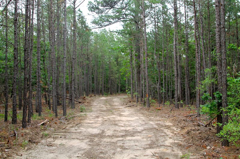 Trophy Ridge Phase II Tract 86 photo 1