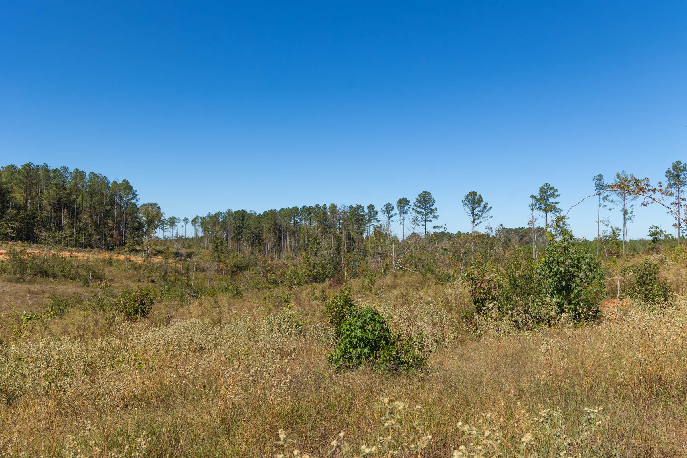 Meyer’s Ridge Tract 8 photo 11