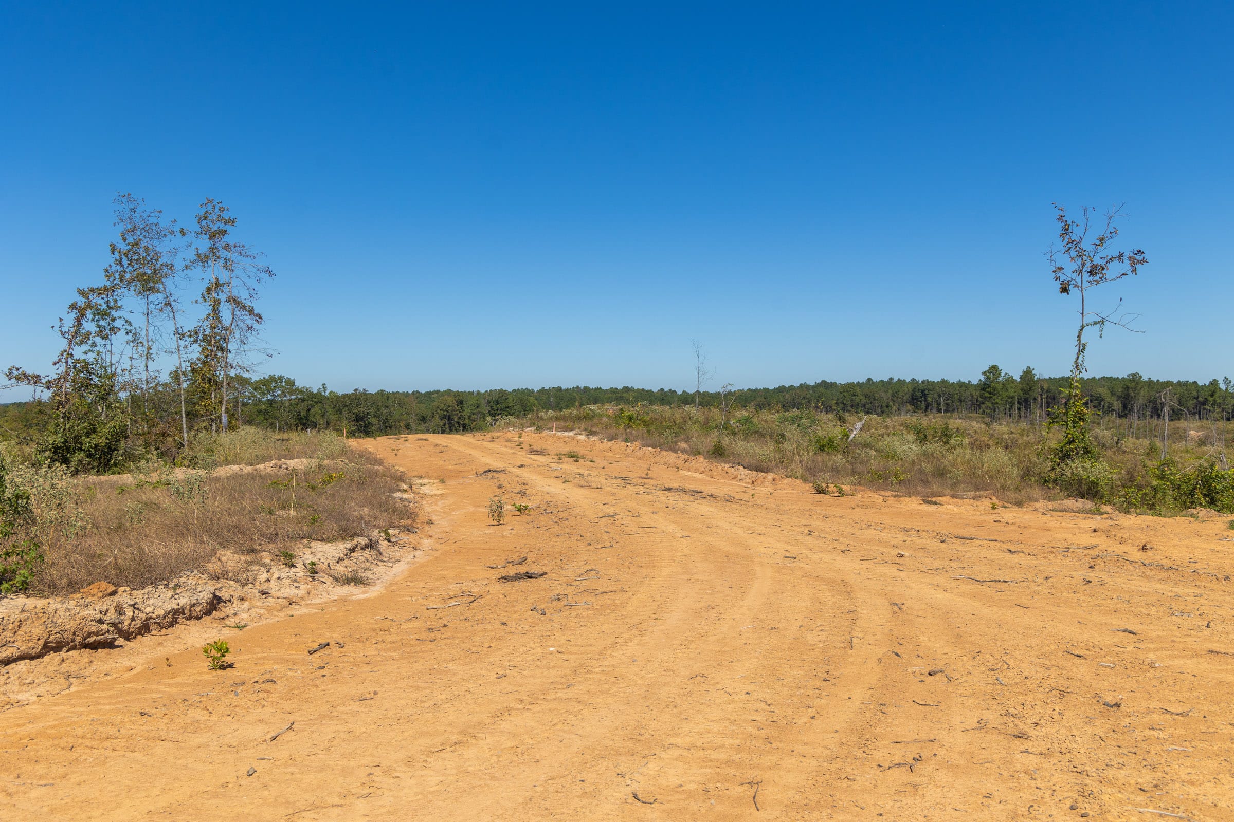Meyer’s Ridge Tract 8 photo 9