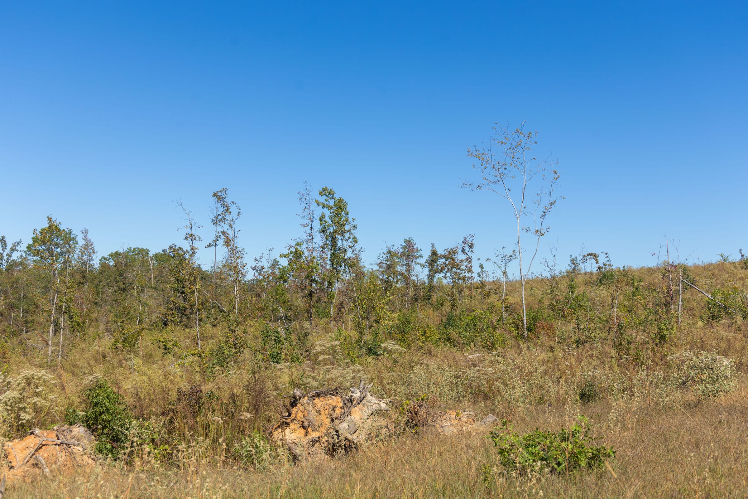 Meyer’s Ridge Tract 8 photo 8