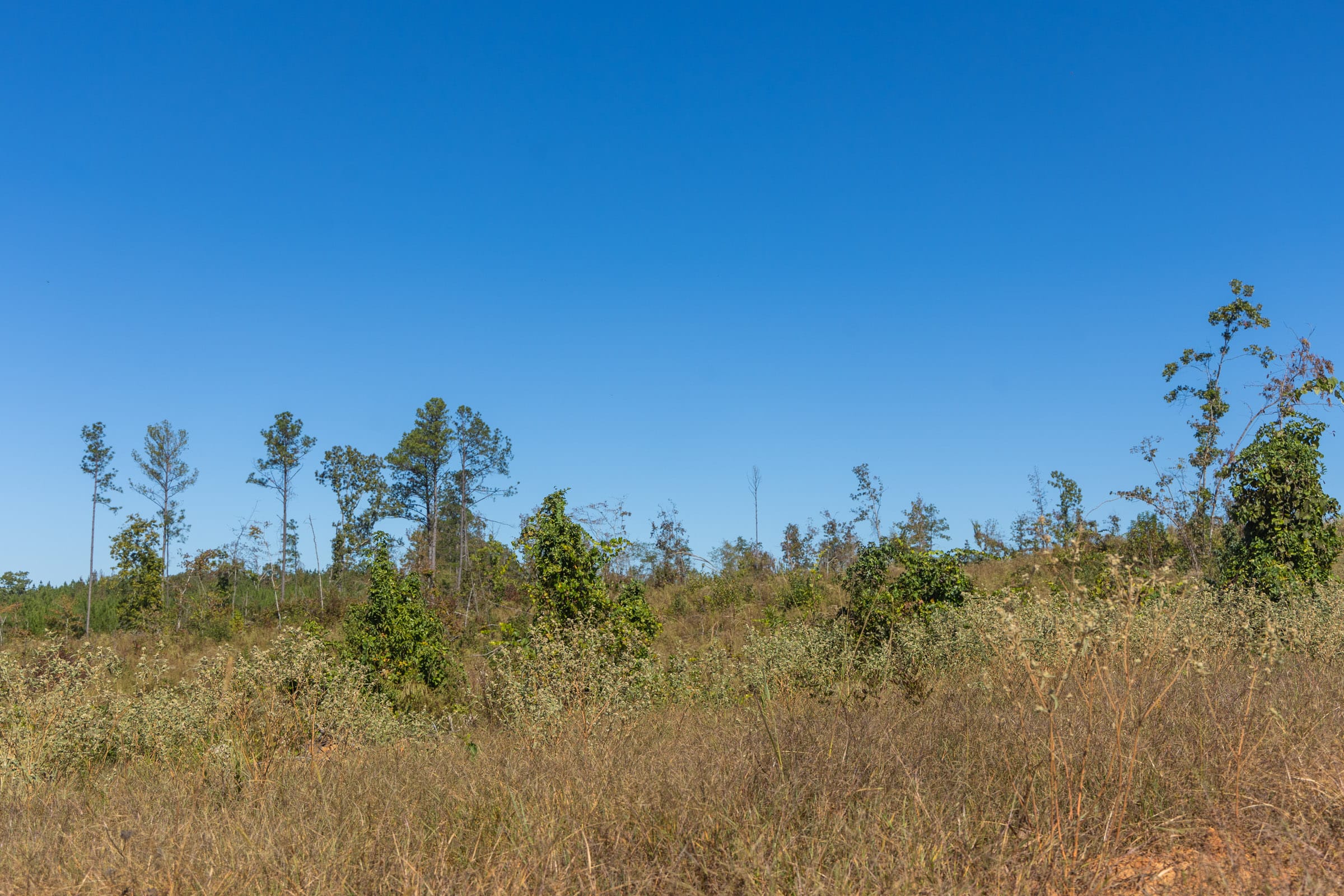 Meyer’s Ridge Tract 8 photo 7