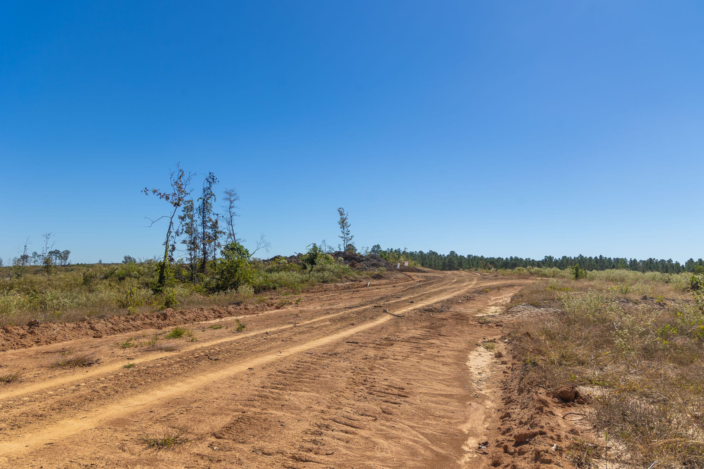 Meyer’s Ridge Tract 8 photo 3