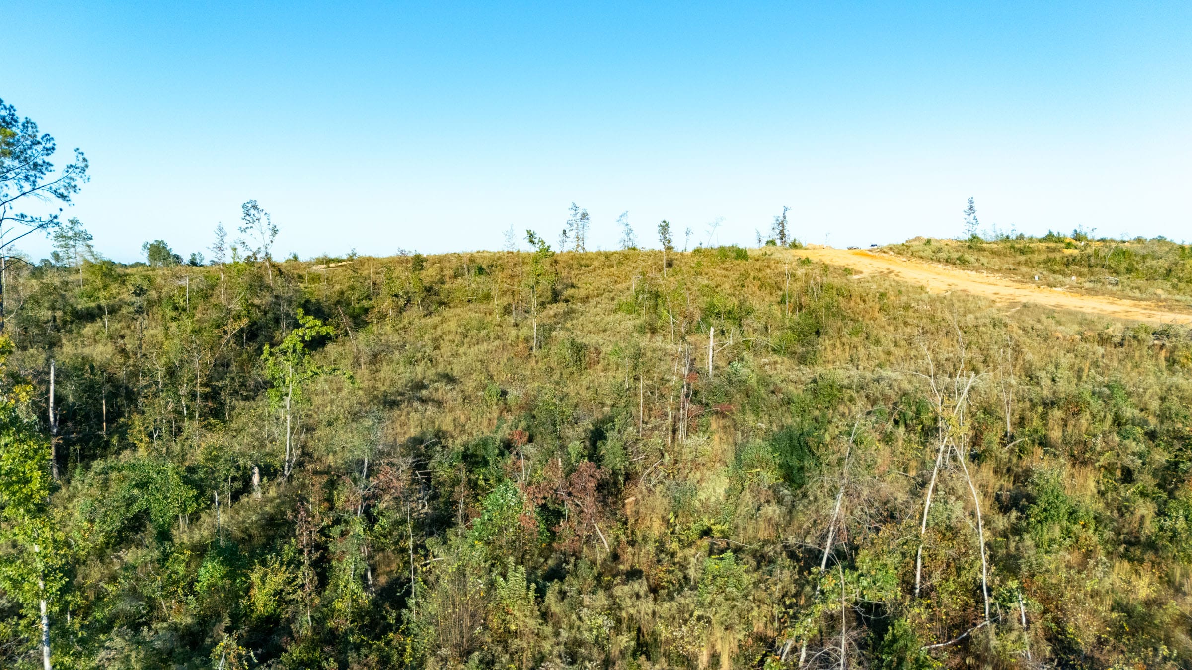 Meyer’s Ridge Tract 8 photo 2