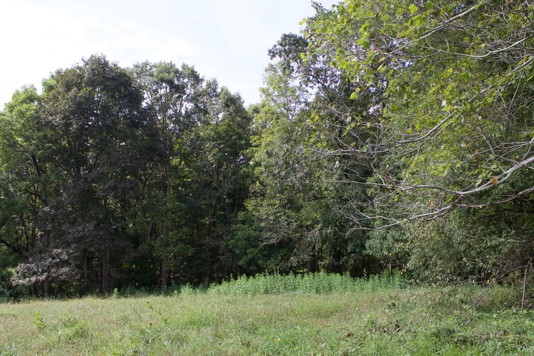 Heritage Hollow Tract 34 photo 2