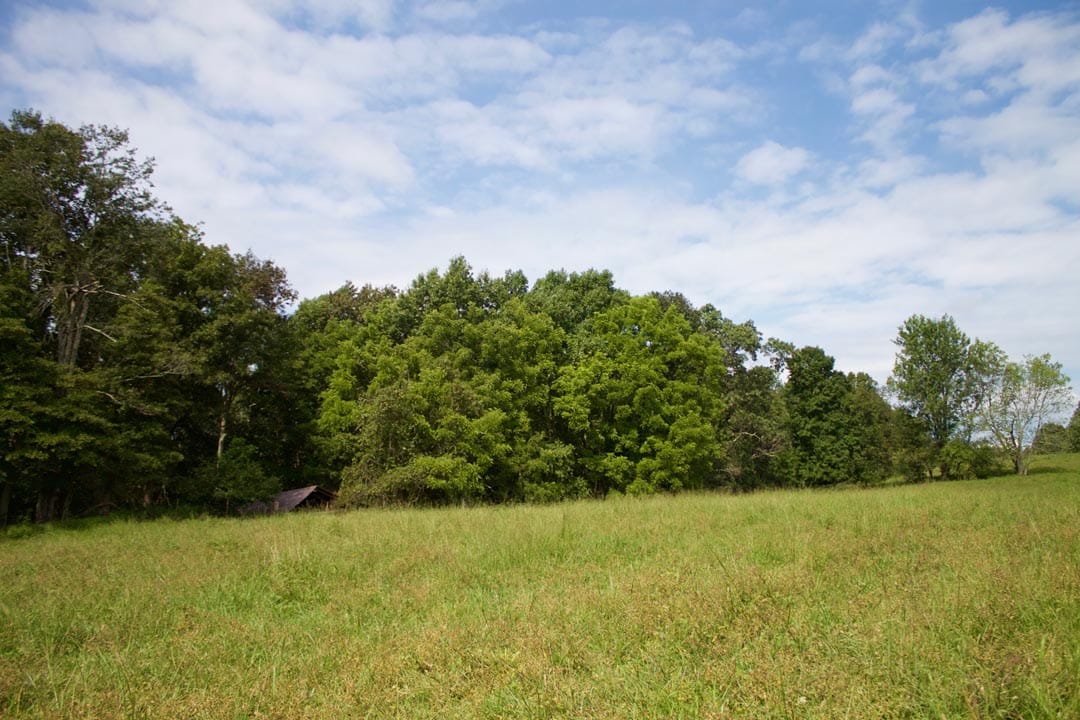 Heritage Hollow Tract 34 photo 3