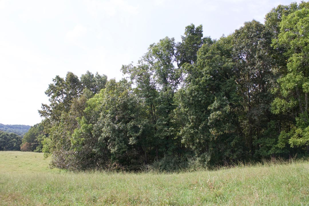 Heritage Hollow Tract 34 photo 4