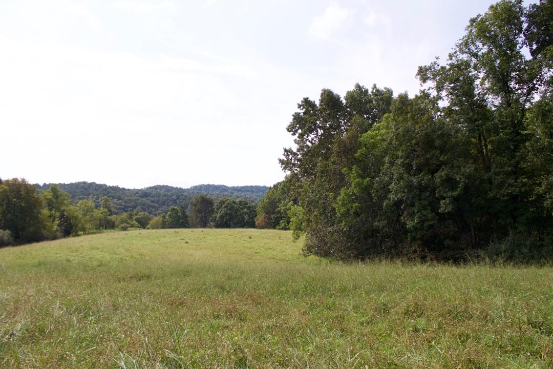 Heritage Hollow Tract 34 photo 5