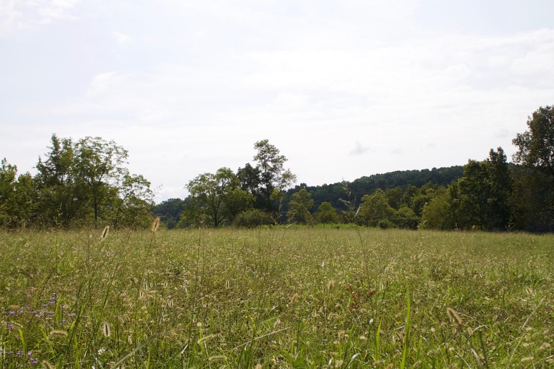 Heritage Hollow Tract 34 photo 6