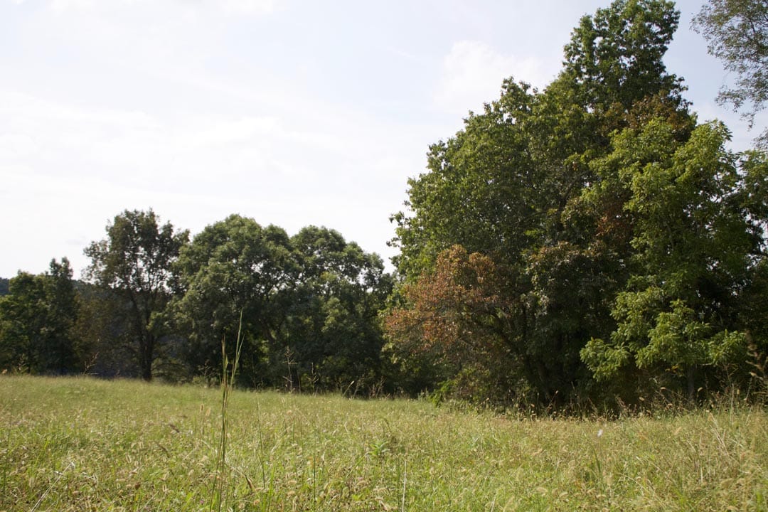 Heritage Hollow Tract 34 photo 7