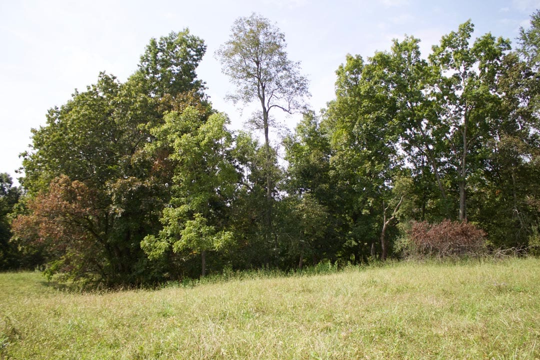 Heritage Hollow Tract 34 photo 9