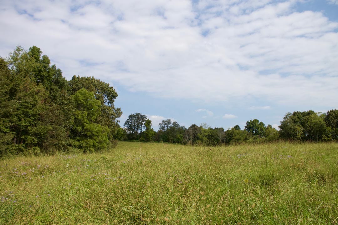Heritage Hollow Tract 34 photo 10