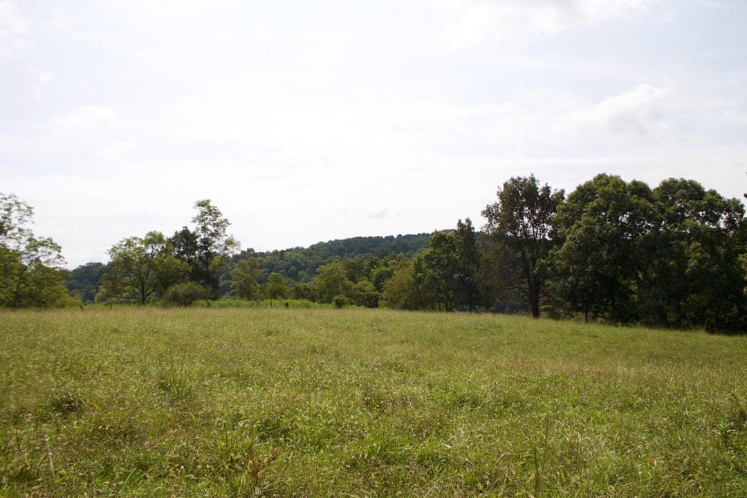 Heritage Hollow Tract 34 photo 11