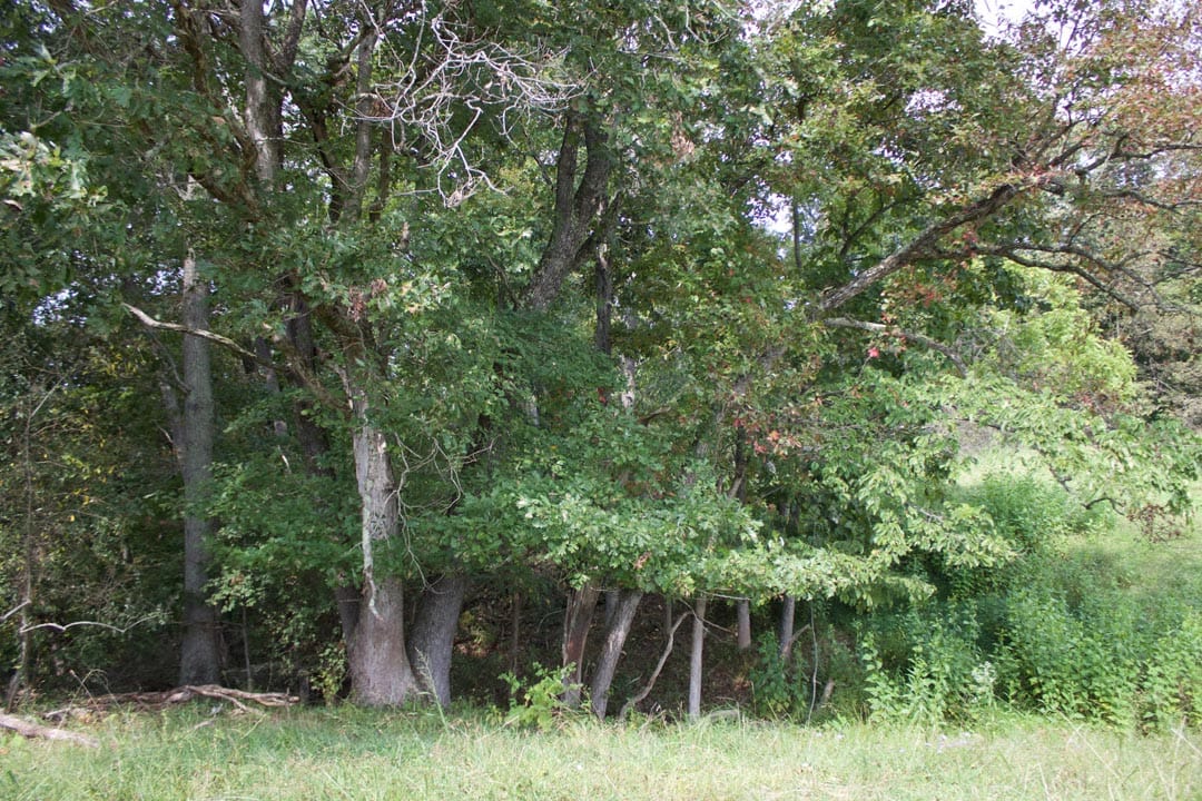 Heritage Hollow Tract 34 photo 12