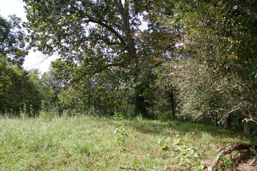 Heritage Hollow Tract 34 photo 13