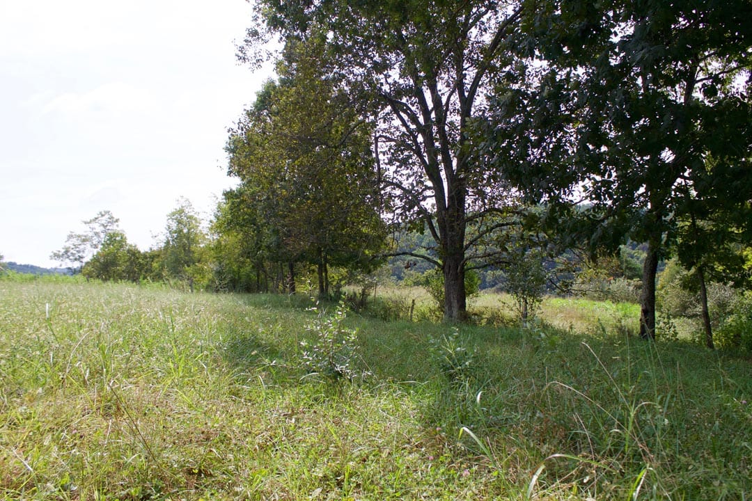 Heritage Hollow Tract 34 photo 15