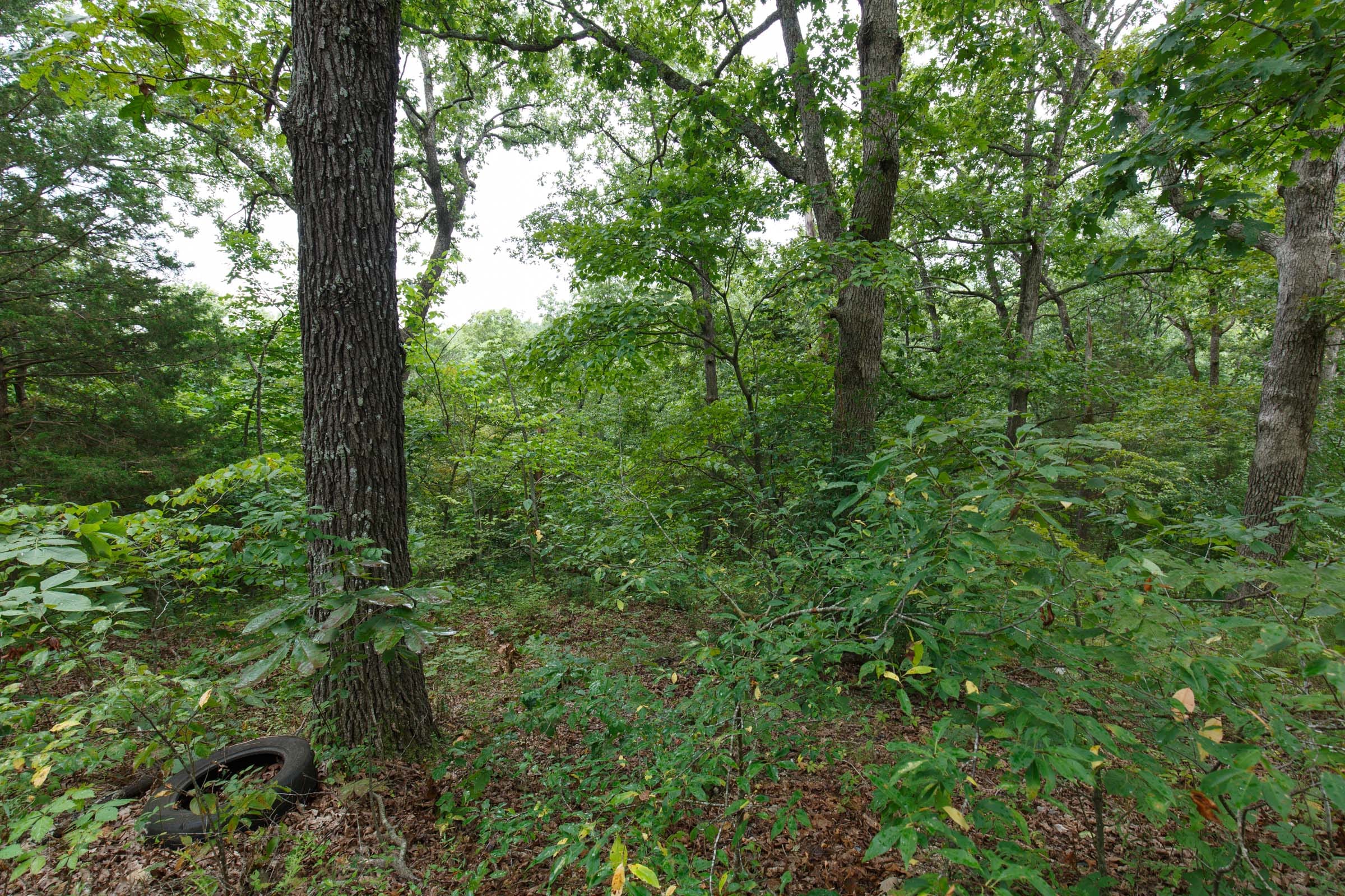 Spring Lake Plat 2 Tract 34 photo 2