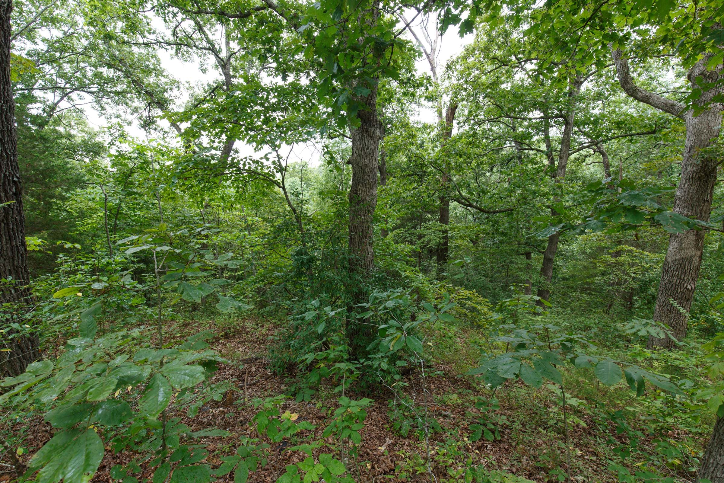 Spring Lake Plat 2 Tract 34 photo 4