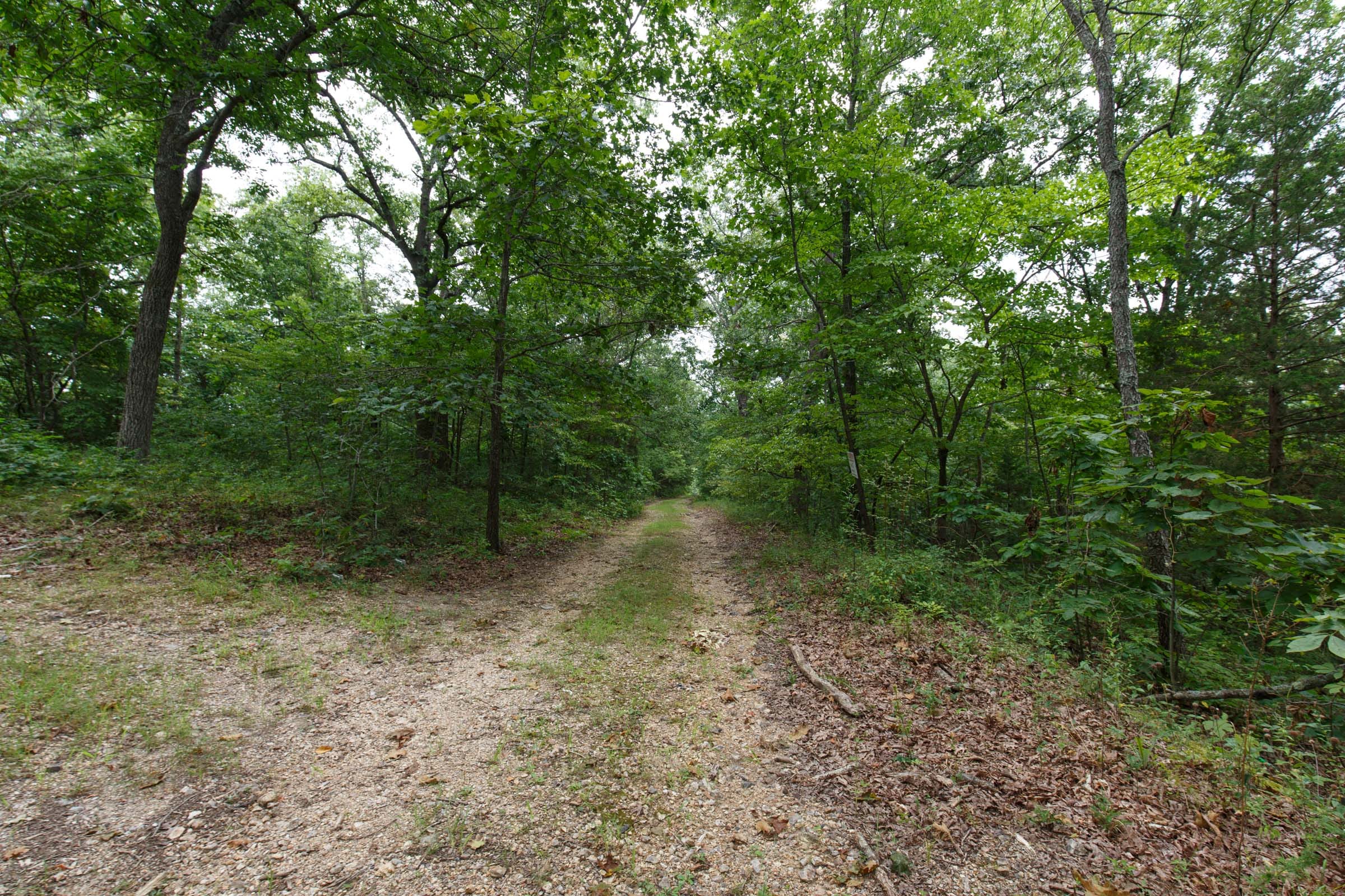 Spring Lake Plat 2 Tract 34 photo 5