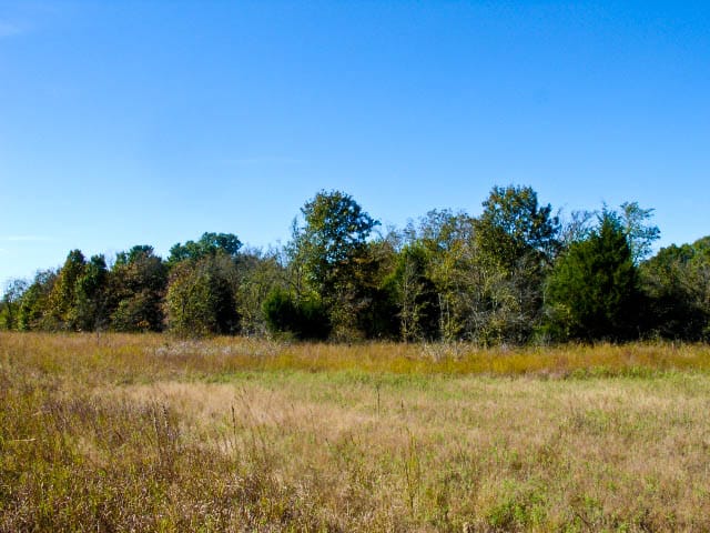 Saddlebrook Ranch Tract 29 photo 1