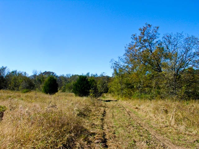 Saddlebrook Ranch Tract 29 photo 8