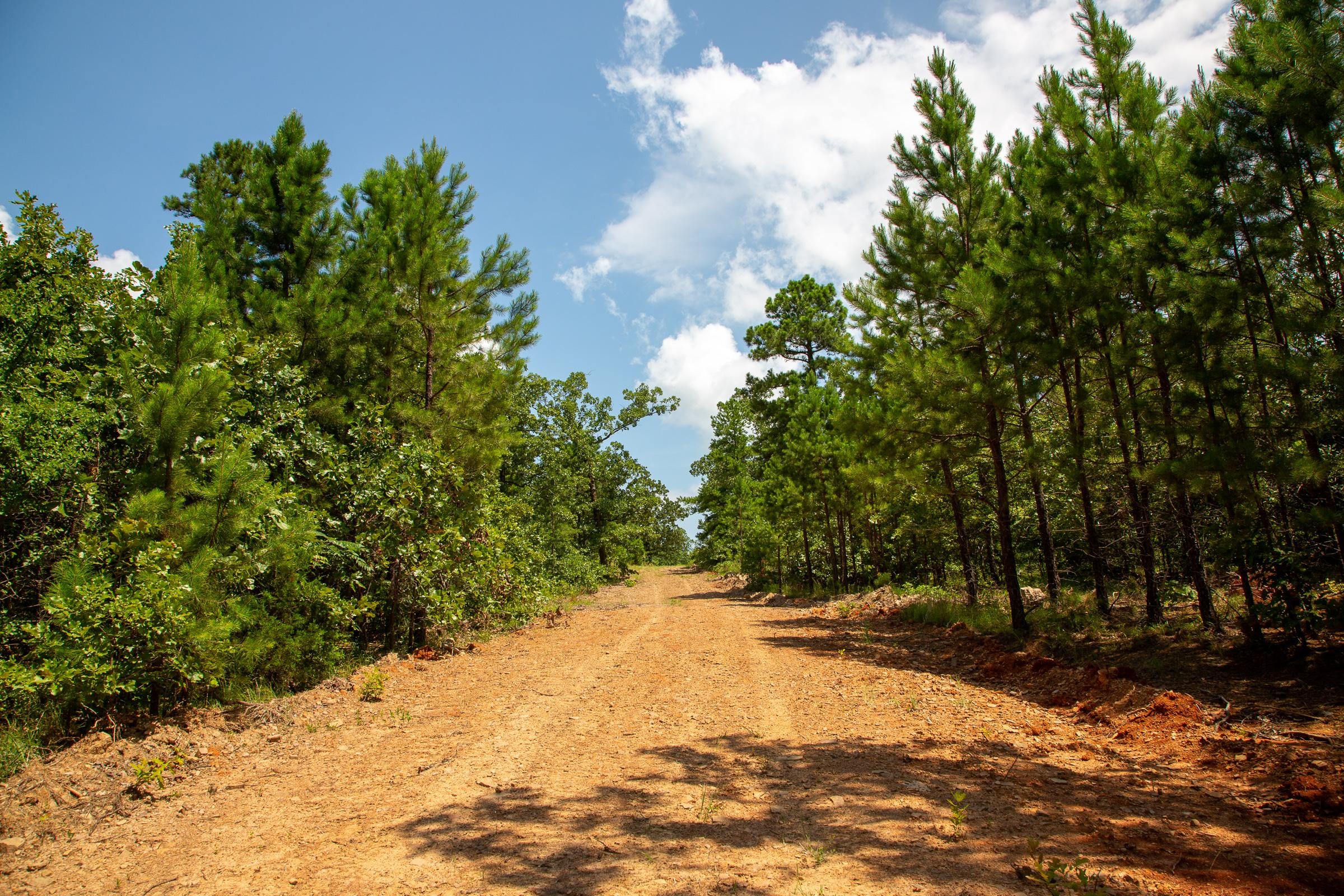 Tyler Stone Ranch Tract 58 photo 2