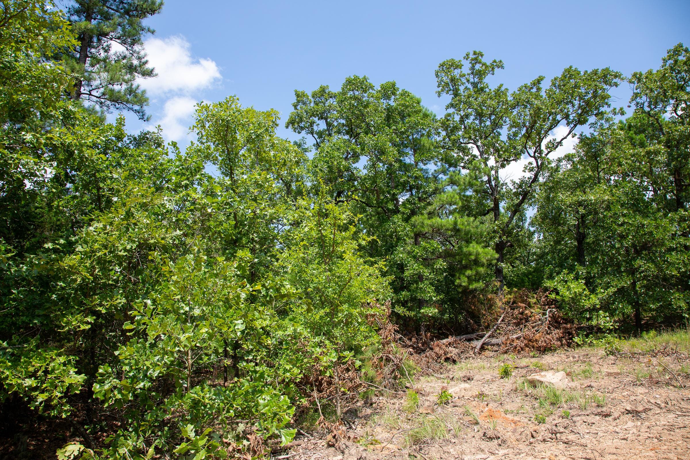 Tyler Stone Ranch Tract 58 photo 4