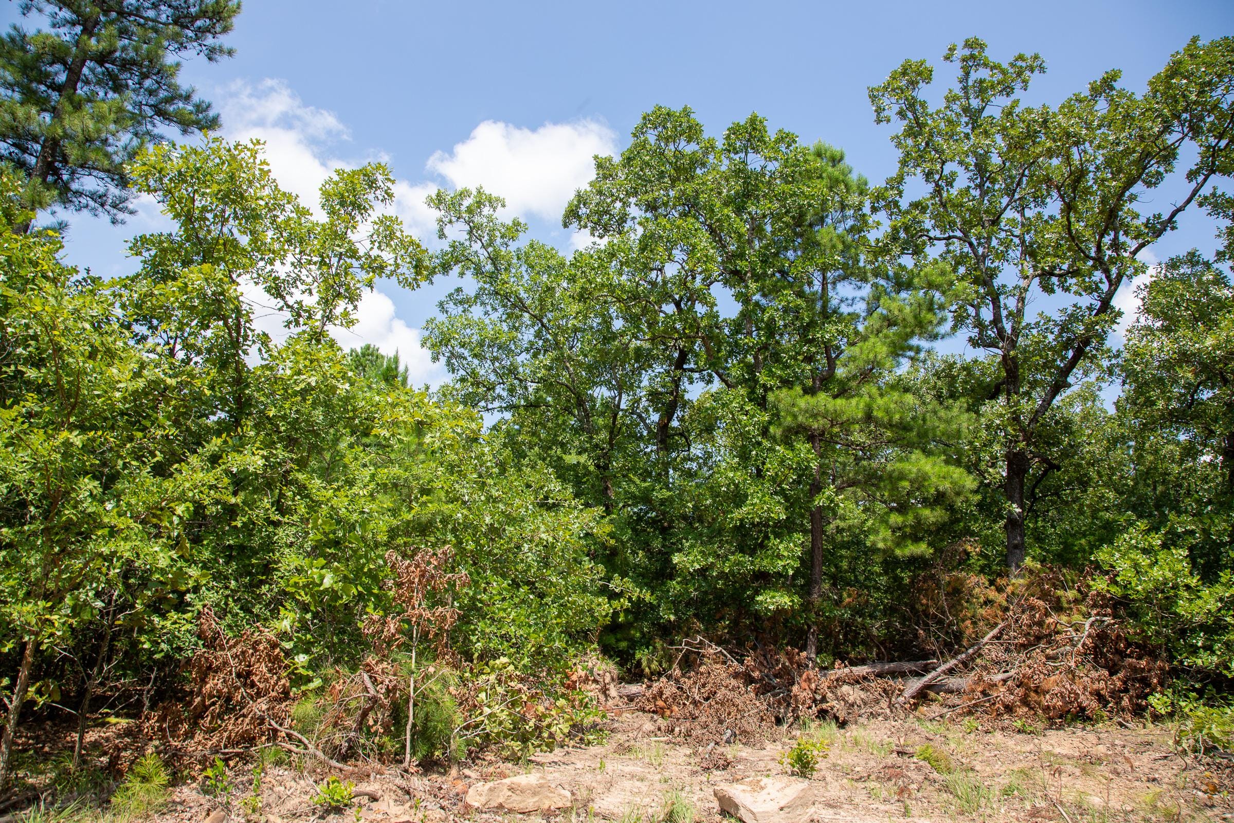 Tyler Stone Ranch Tract 58 photo 5