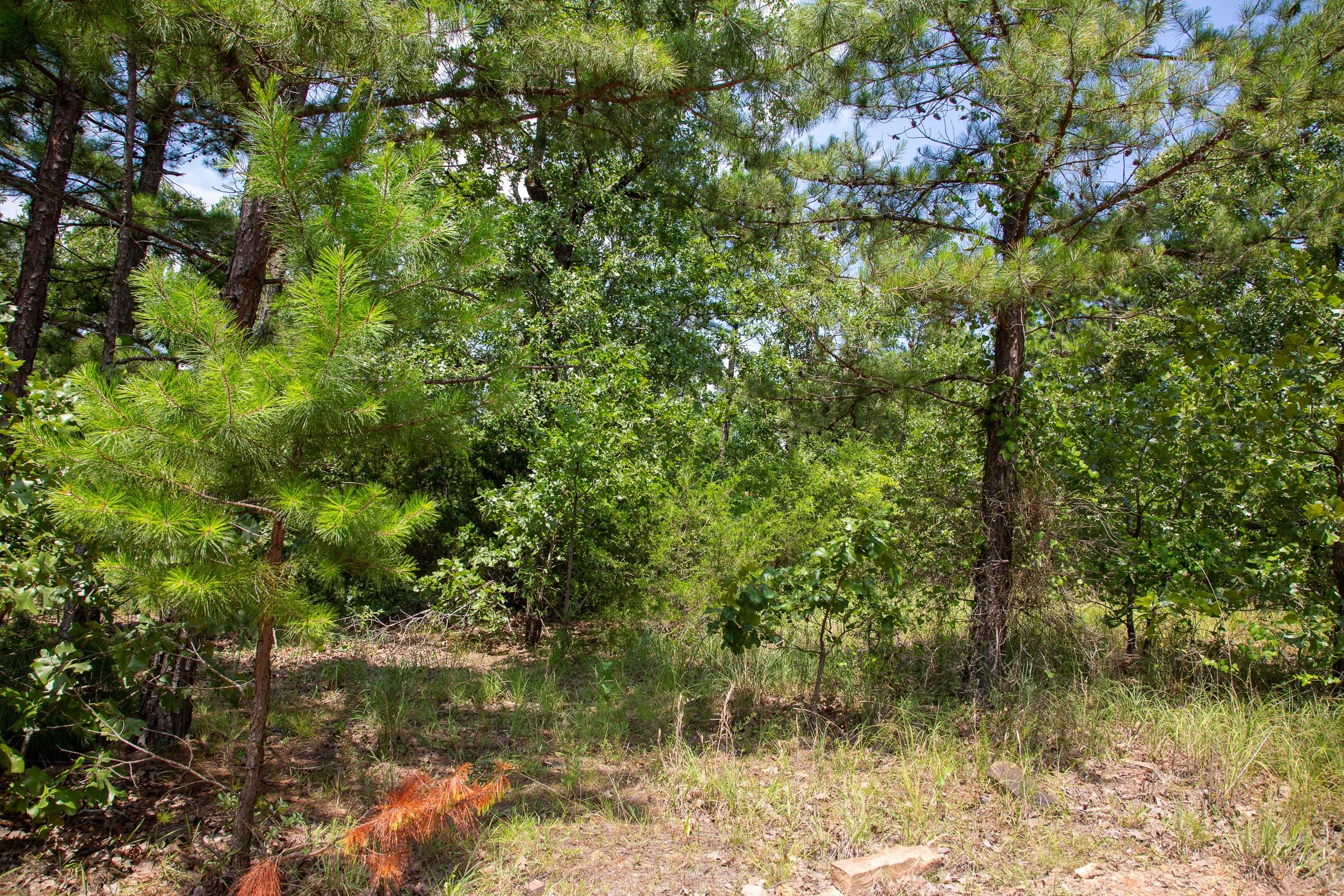 Tyler Stone Ranch Tract 58 photo 6