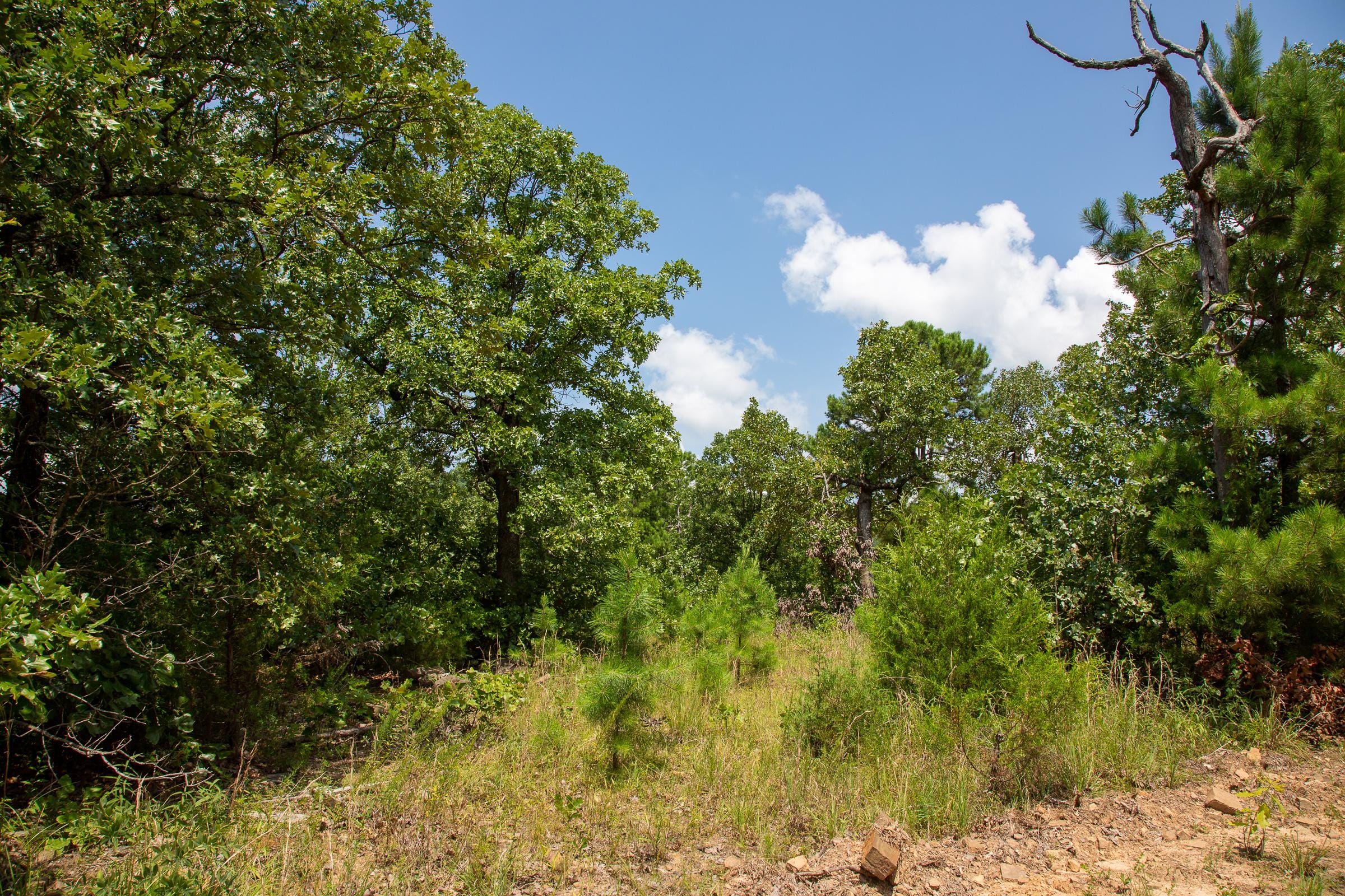 Tyler Stone Ranch Tract 58 photo 9