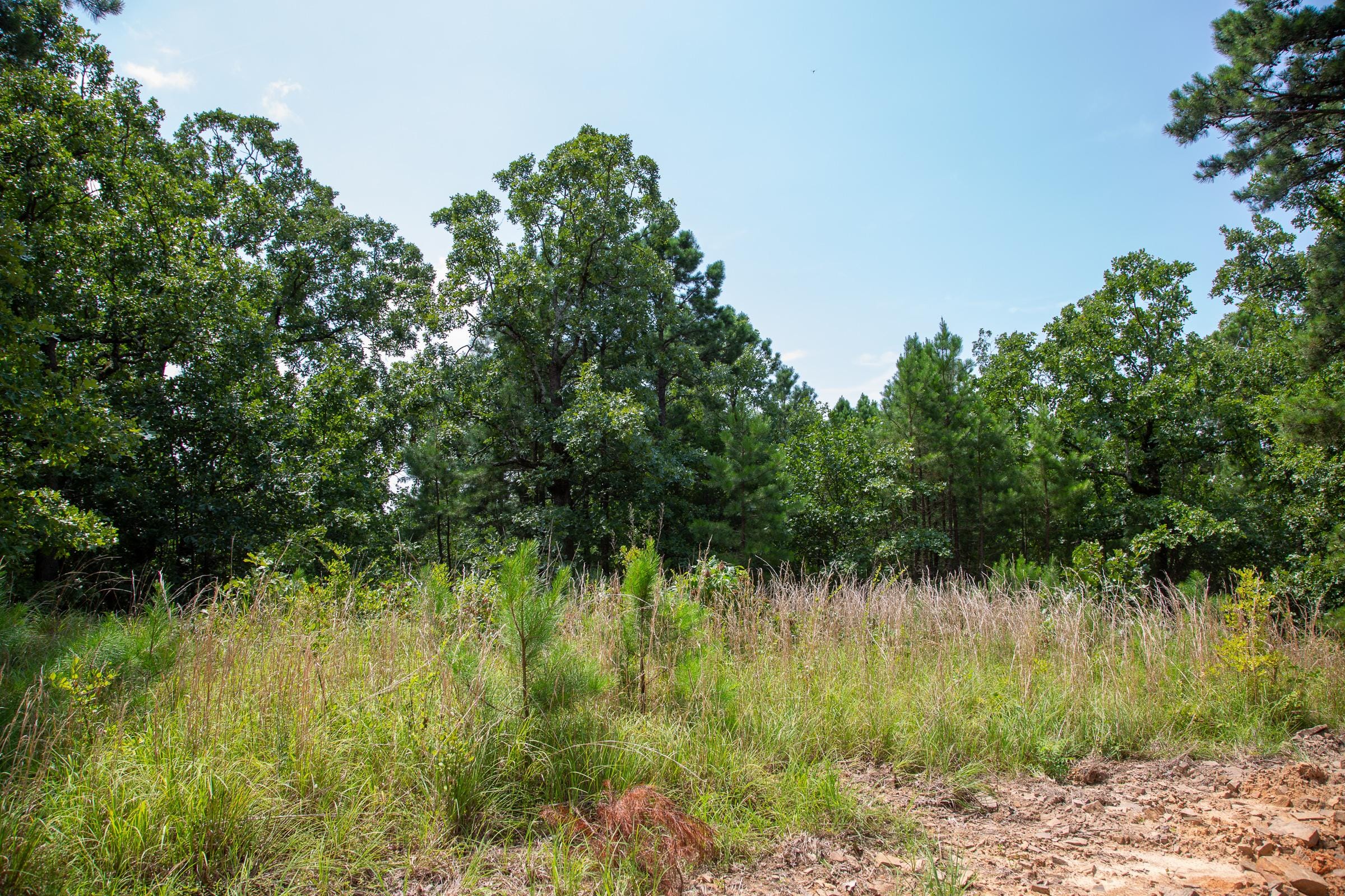 Tyler Stone Ranch Tract 58 photo 11