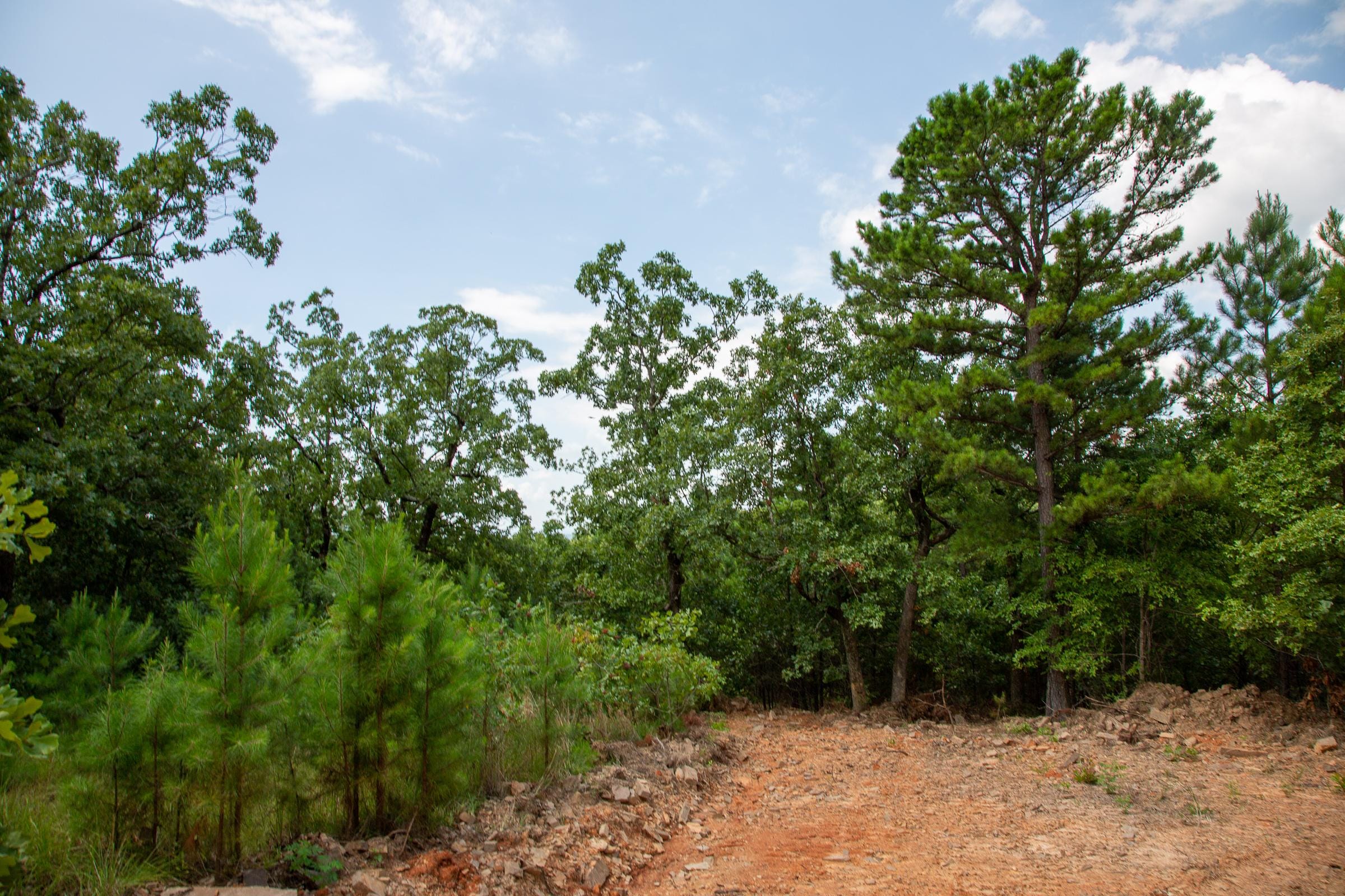 Tyler Stone Ranch Tract 58 photo 13