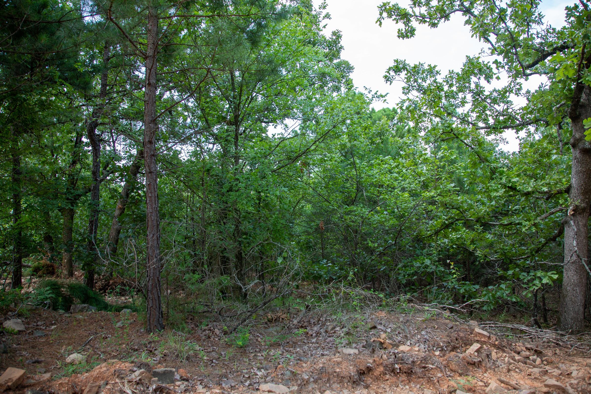 Tyler Stone Ranch Tract 58 photo 14