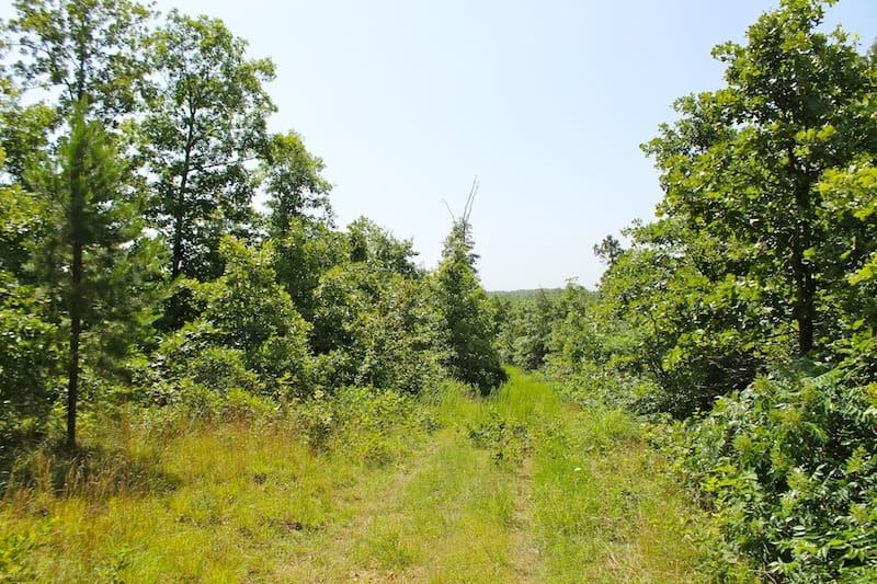 Green Mountain Ranch Tract 22 photo 5