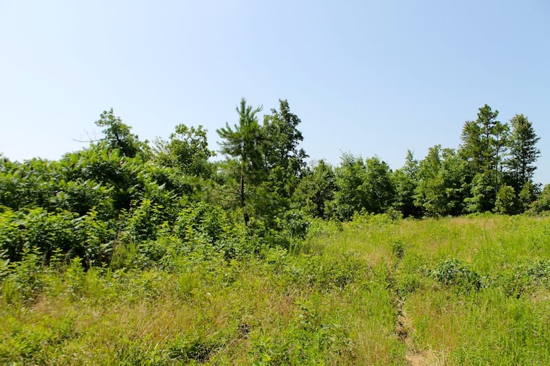 Green Mountain Ranch Tract 22 photo 1