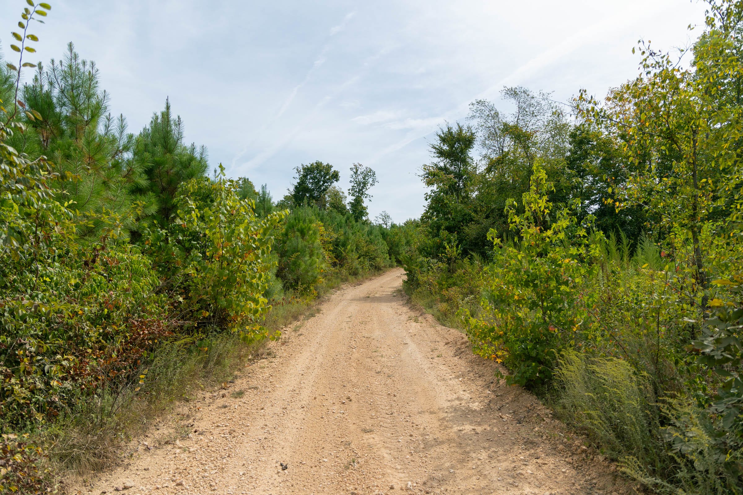 Big White Oak Tract 20 photo 6
