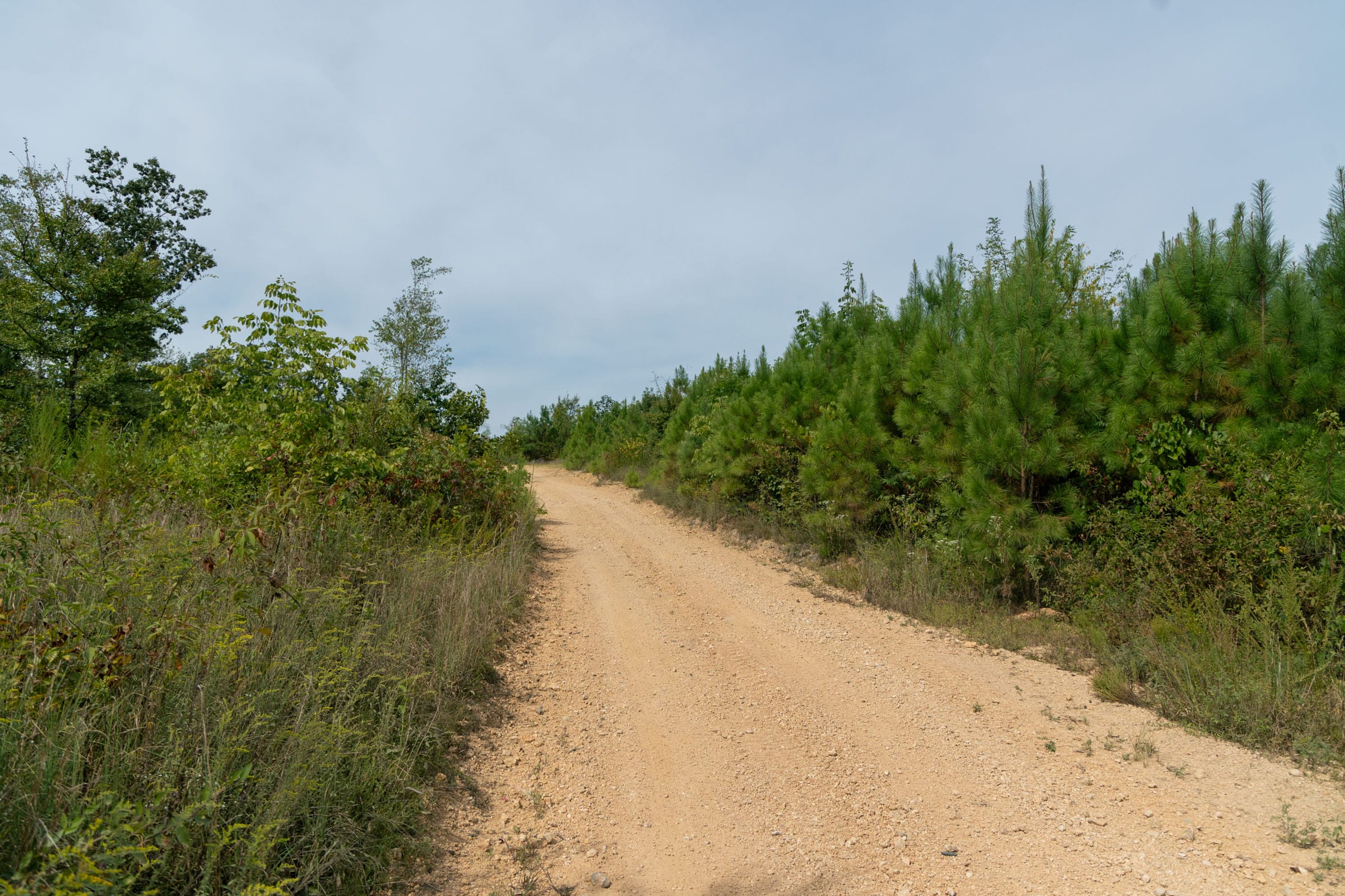 Big White Oak Tract 20 photo 9
