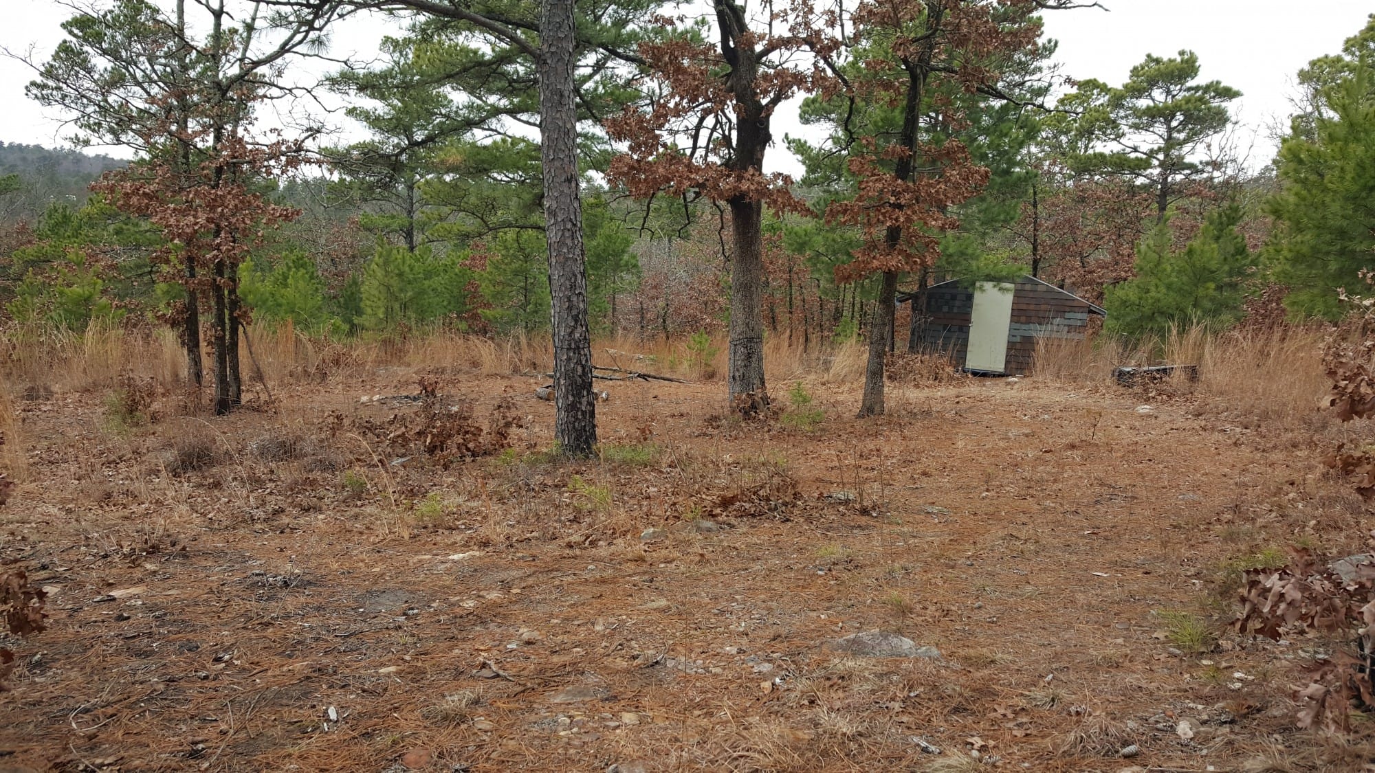 Indian Ridge – Phase II Tract 48 photo 5