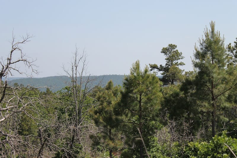Indian Ridge – Phase II Tract 48 photo 6