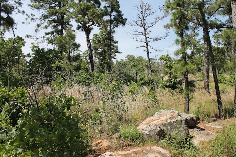 Indian Ridge – Phase II Tract 48 photo 11
