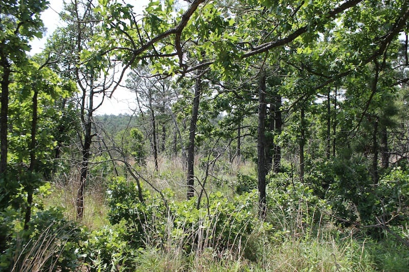 Indian Ridge – Phase II Tract 48 photo 13