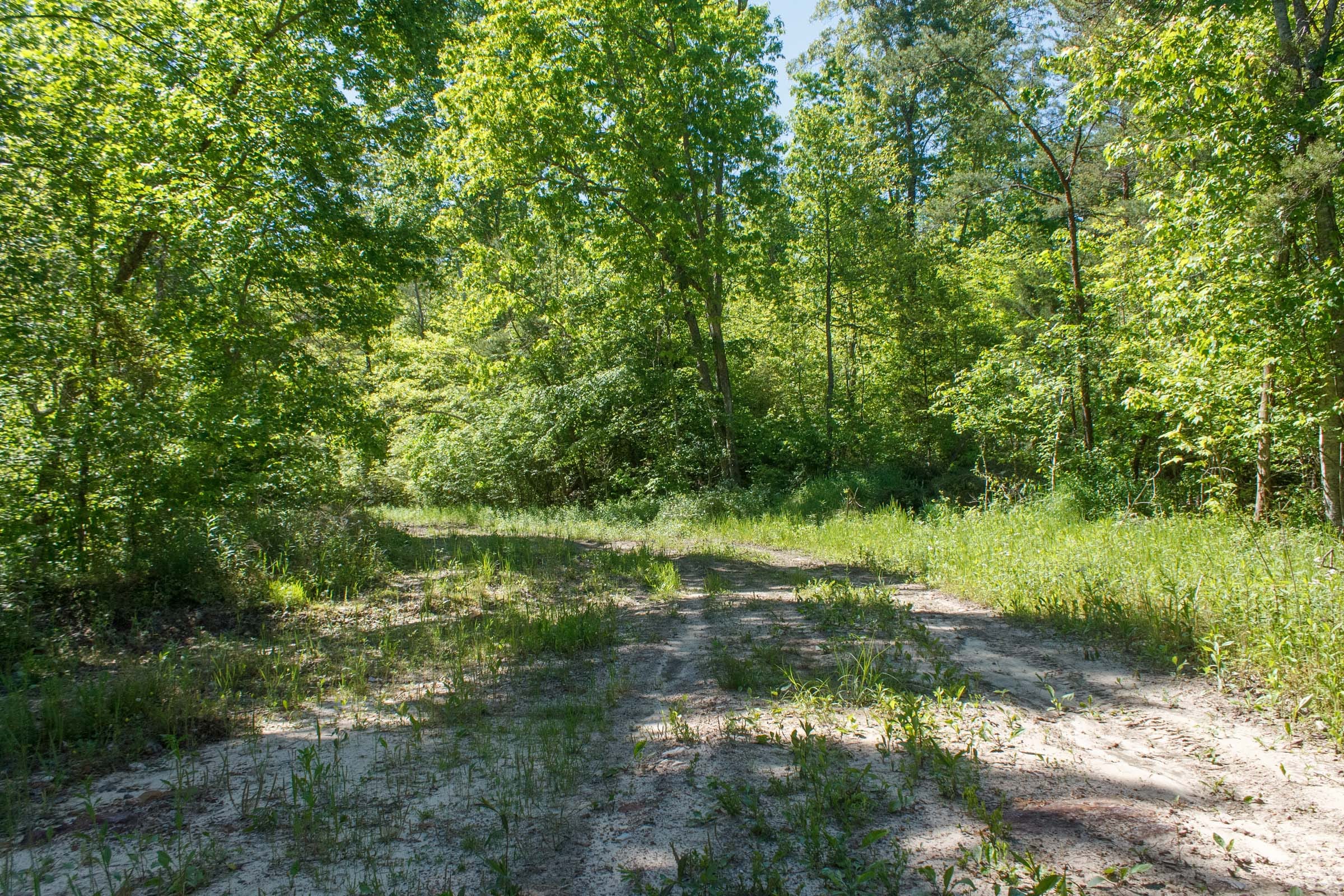 Riverbend Tract 11 photo 1