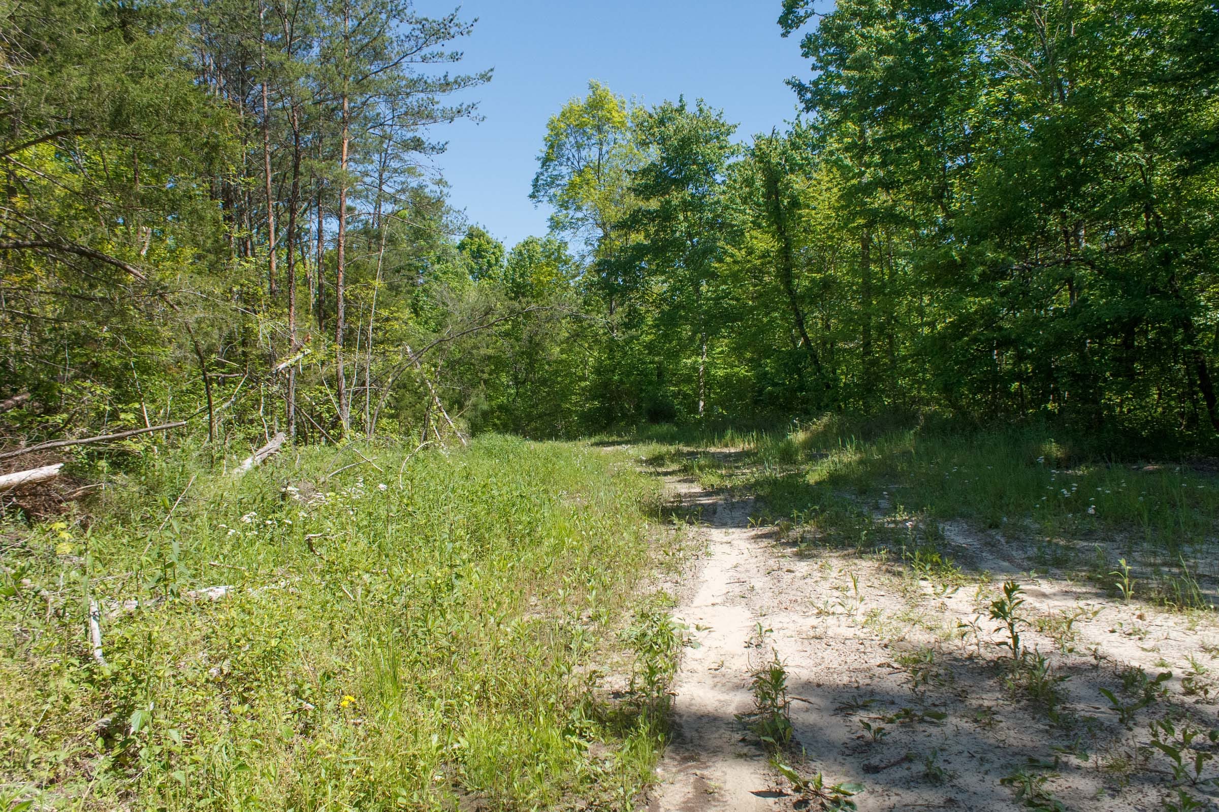 Riverbend Tract 11 photo 2