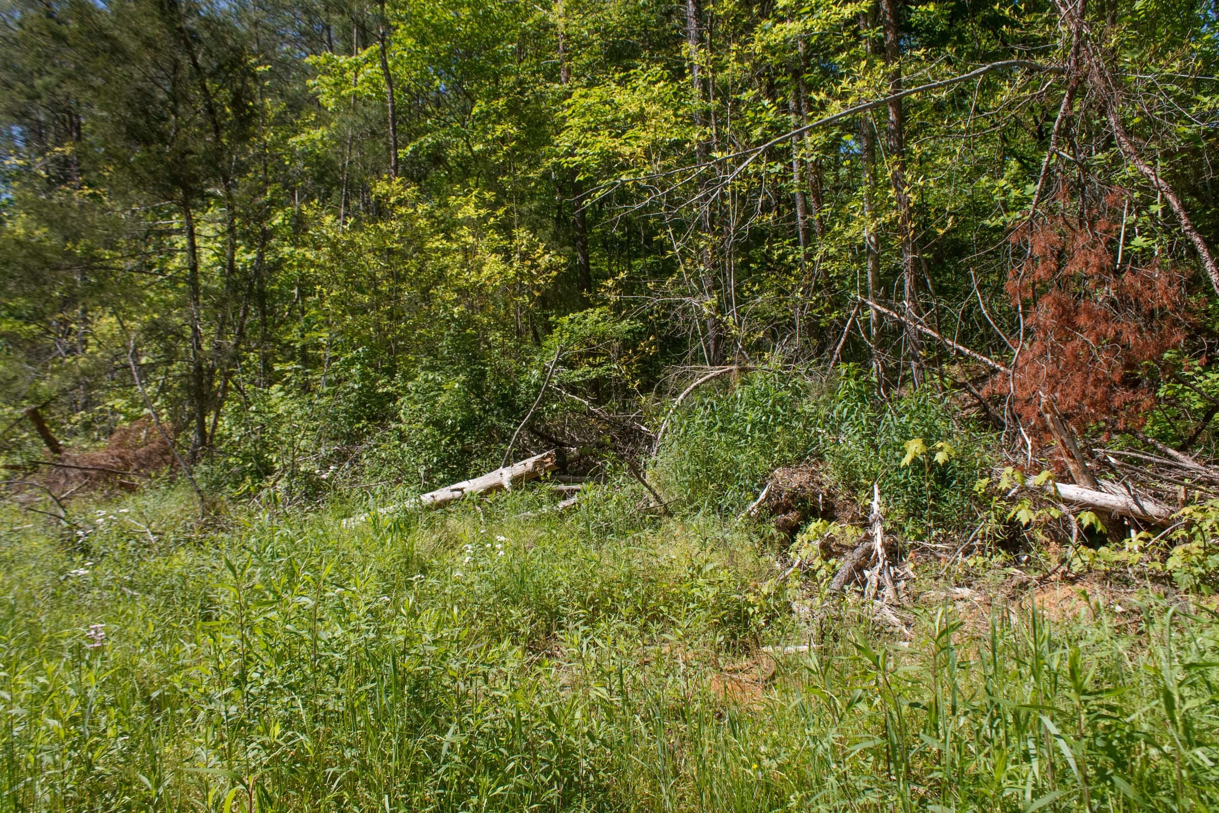 Riverbend Tract 11 photo 5