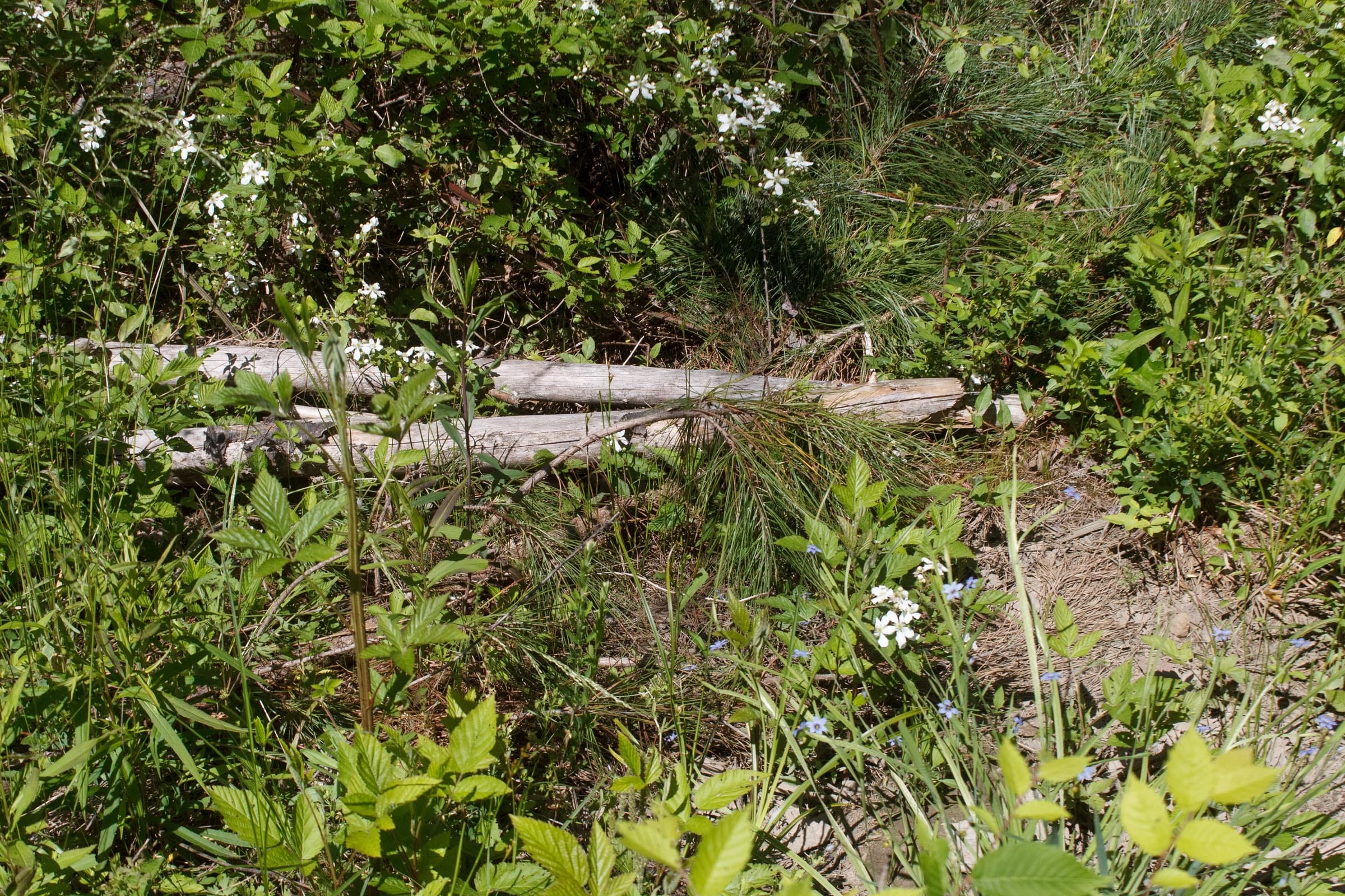 Riverbend Tract 11 photo 8